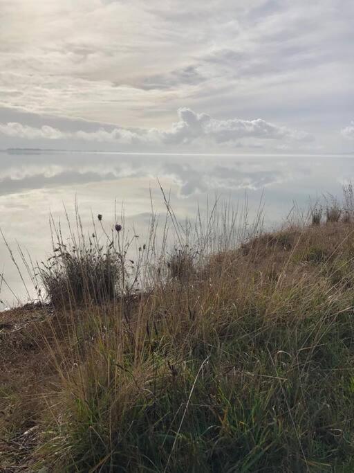Fantail At Bluestone Retreat Βίλα Leeston Εξωτερικό φωτογραφία